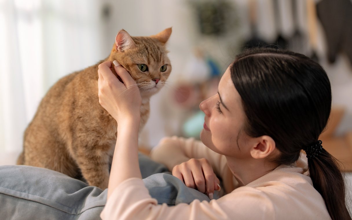 Woman looking at orange cat