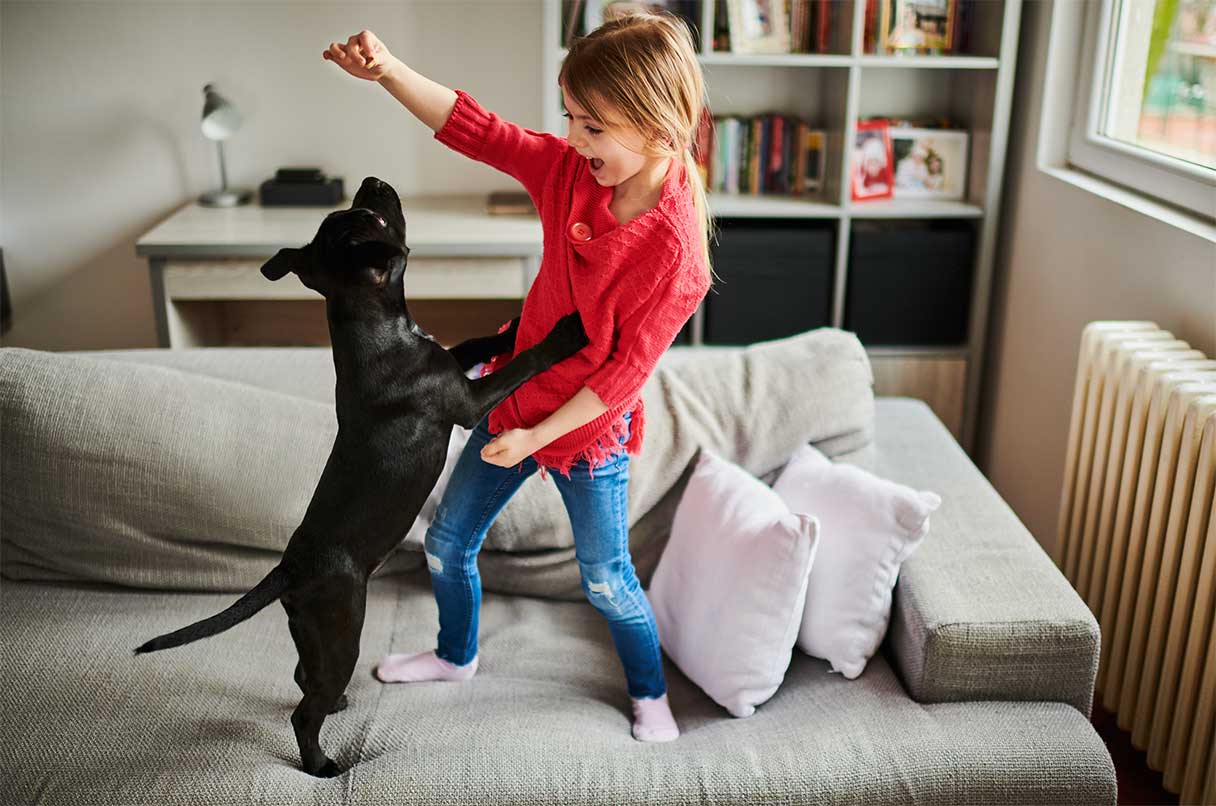 Young girl standing on sofa, playing with small black dog