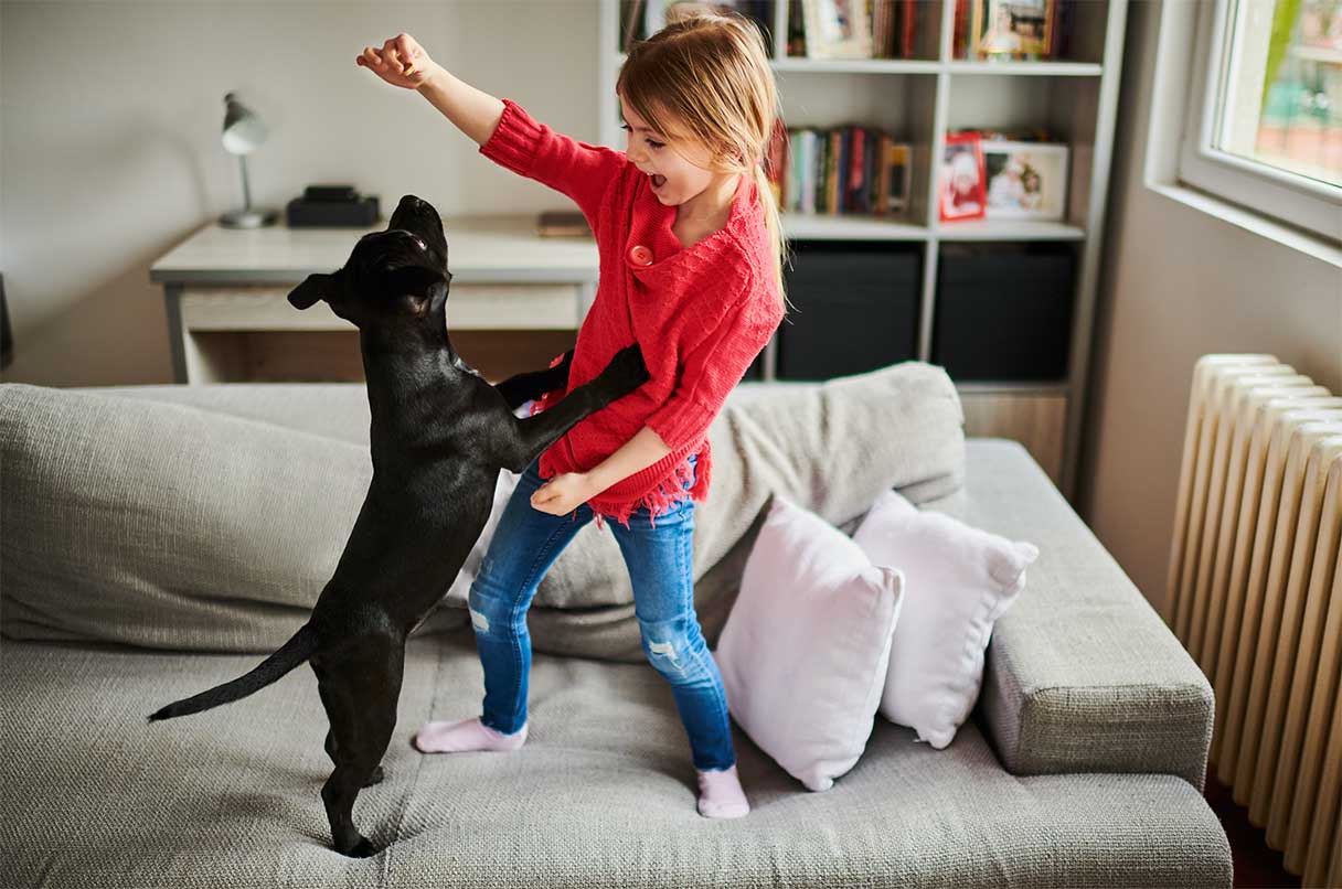 14 Great Ways to Exercise Your Dog Indoors This Winter