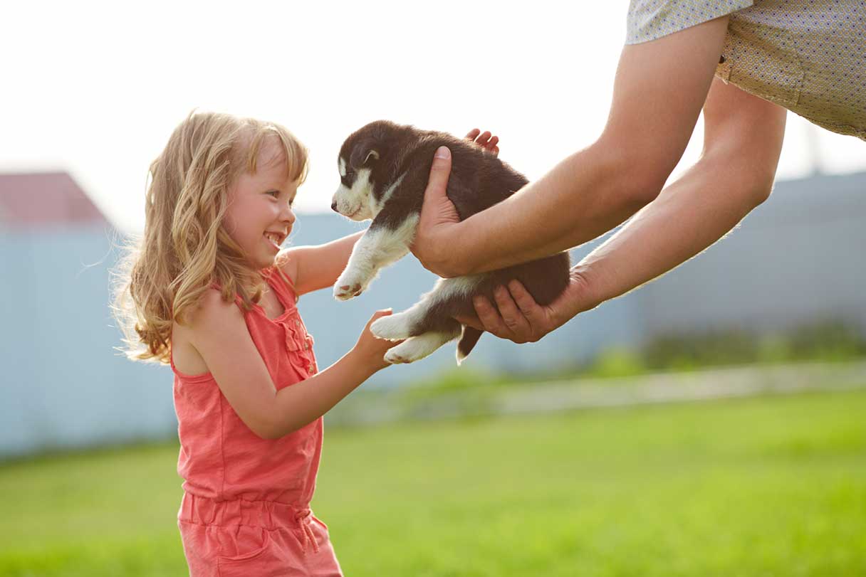 Man handing a young girl a gray and white puppy