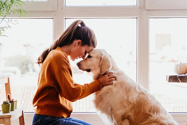 Woman nuzzling a golden retriever