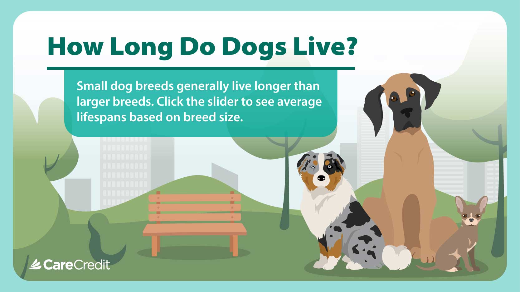 How Long Do Dogs Live?