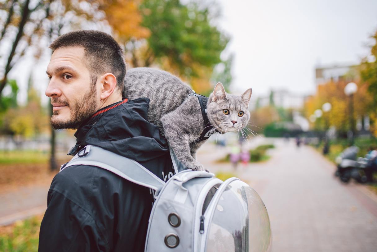 Man with a gray cat on his shoulder
