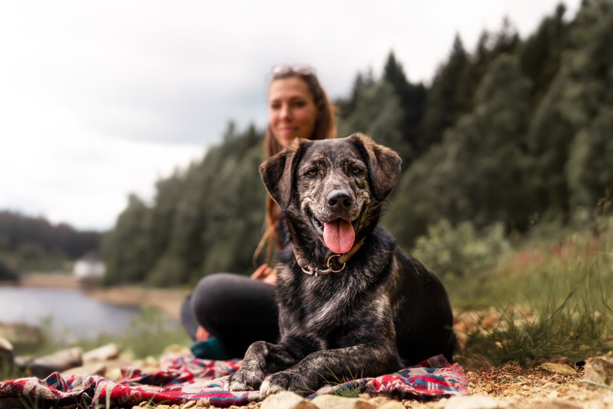 Woman sitting outside with a senior dog