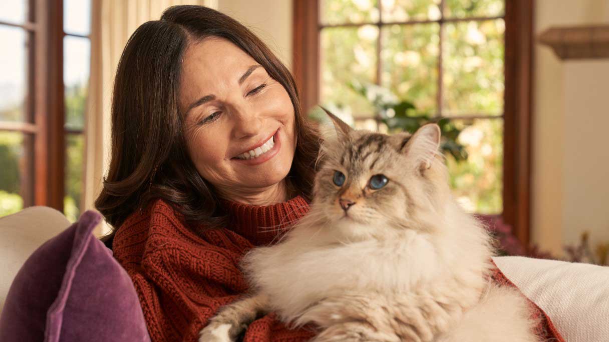 Feline allergies, environmental allergies and food alergies in cats.