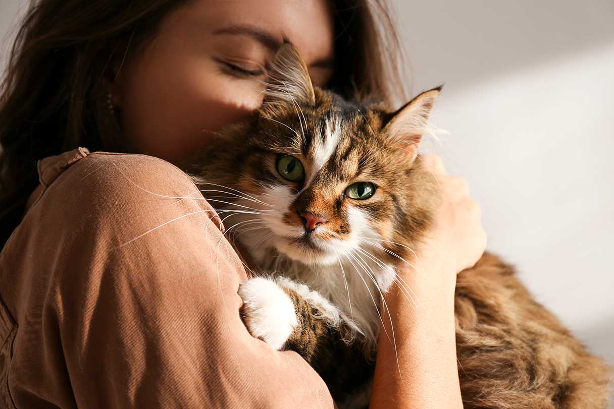 Cat and Kitten Vaccination Schedule: When to Get What Shots