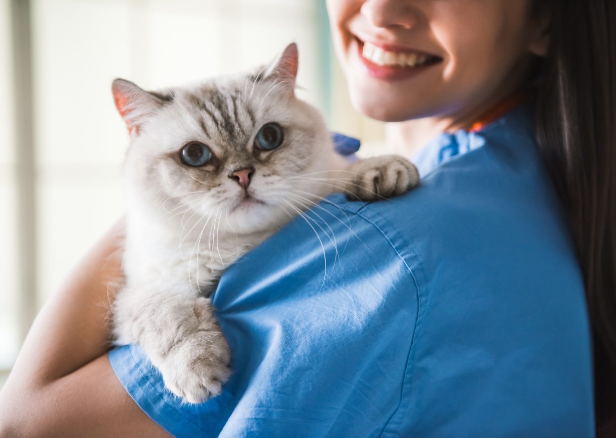 Woman holding cat