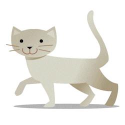 Cat animation
