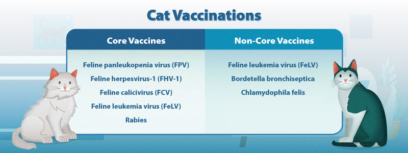 Core and Non Core Cat Vaccines