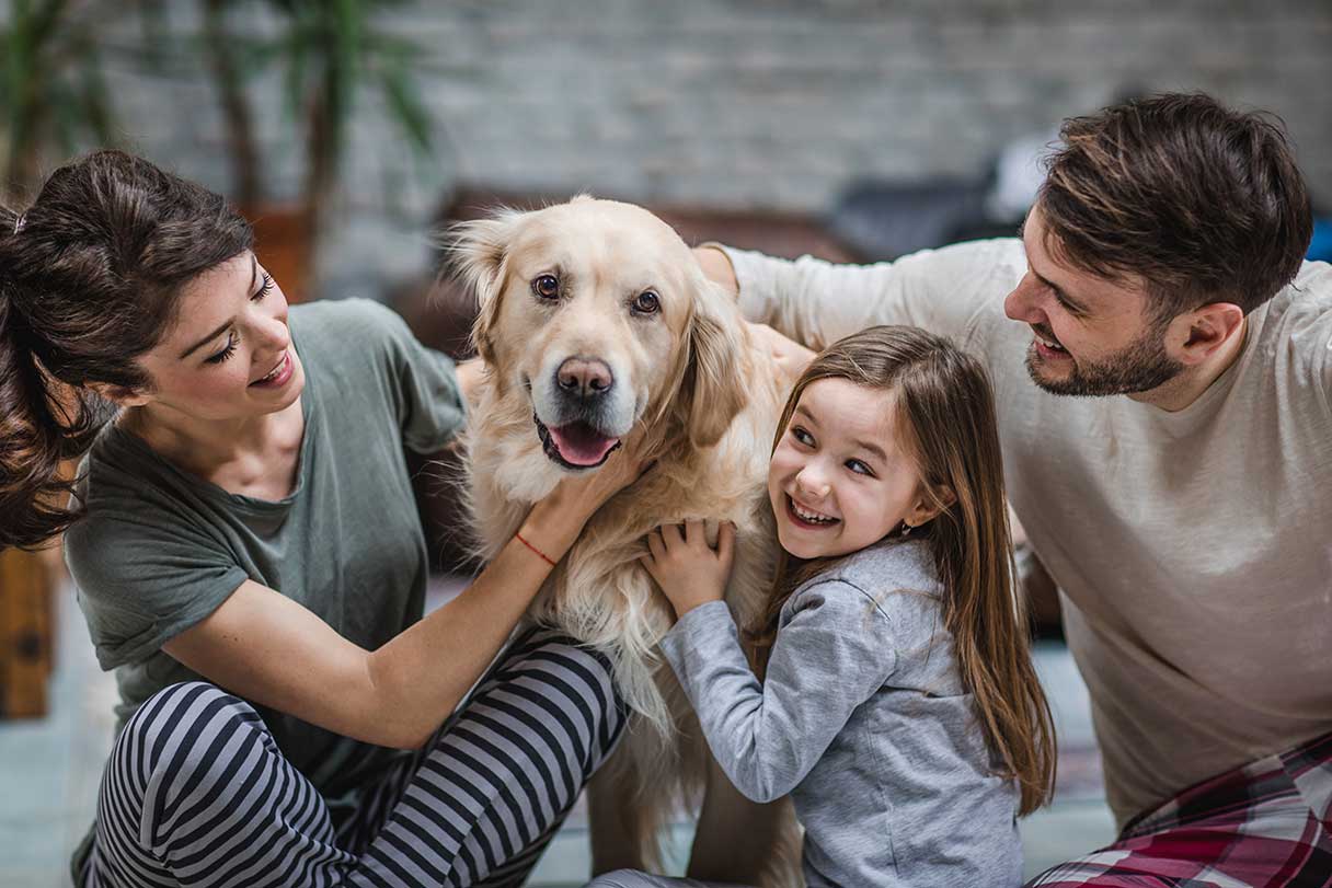 What's the best dog for best sale my family