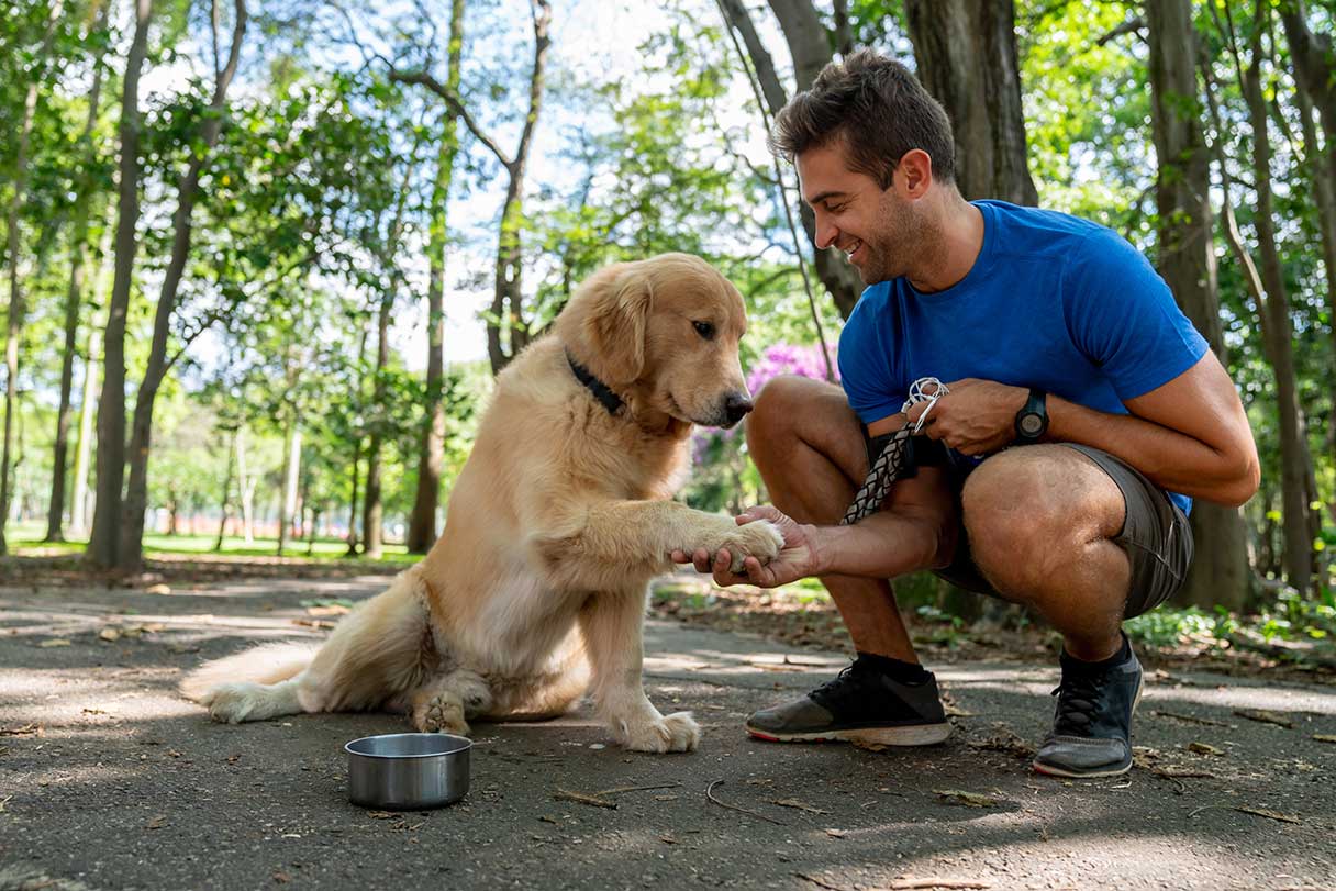 Man outside, crouching next to golden retriever