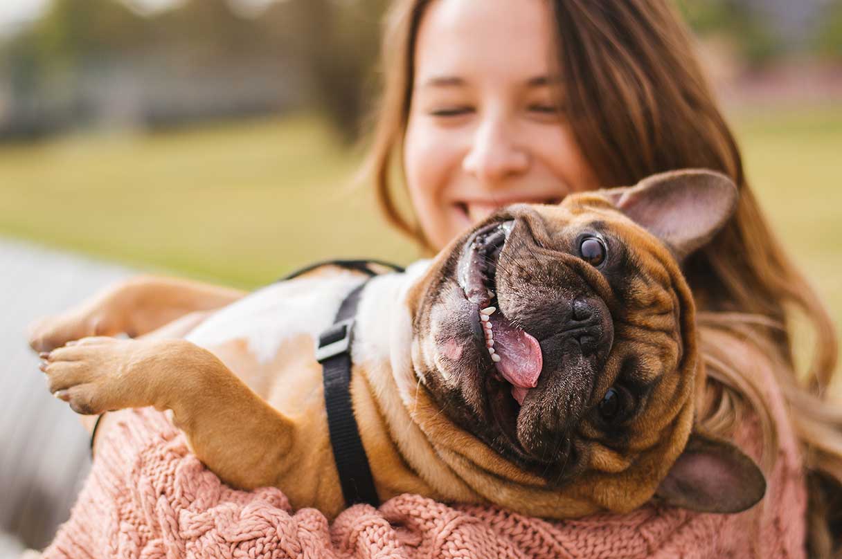 Woman holding french bulldog