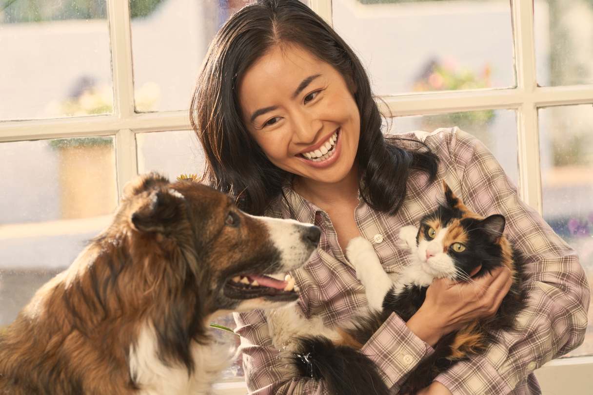Dental Care for Pets: Why It Matters and What It Costs