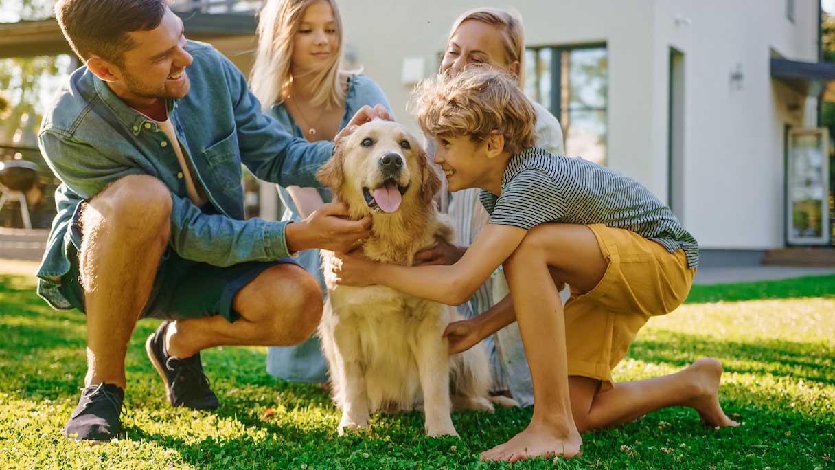 Family petting a golden retriever