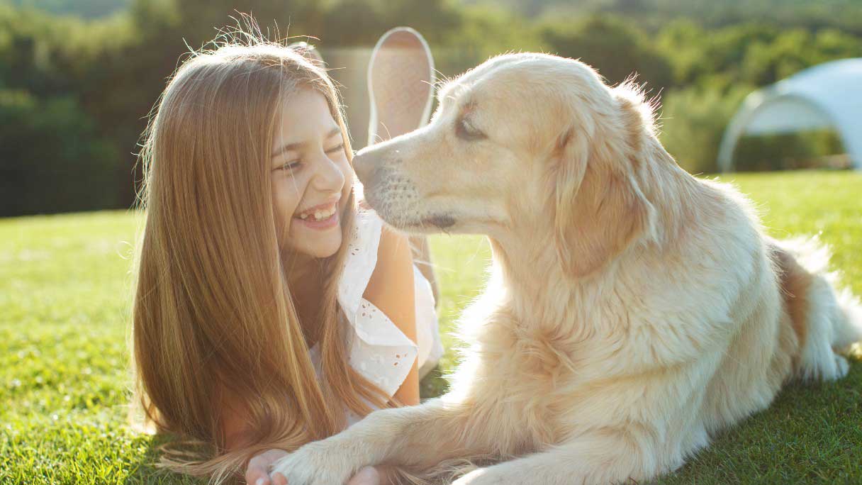 Can Dogs Get Hernias? Causes, Symptoms and Treatment Options