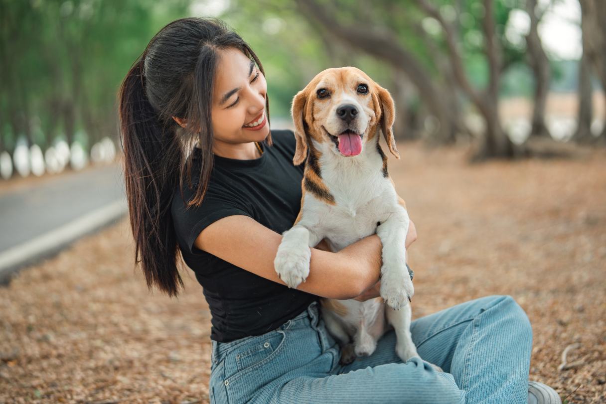 Dog Broken Leg Treatment Cost and Procedure Guide