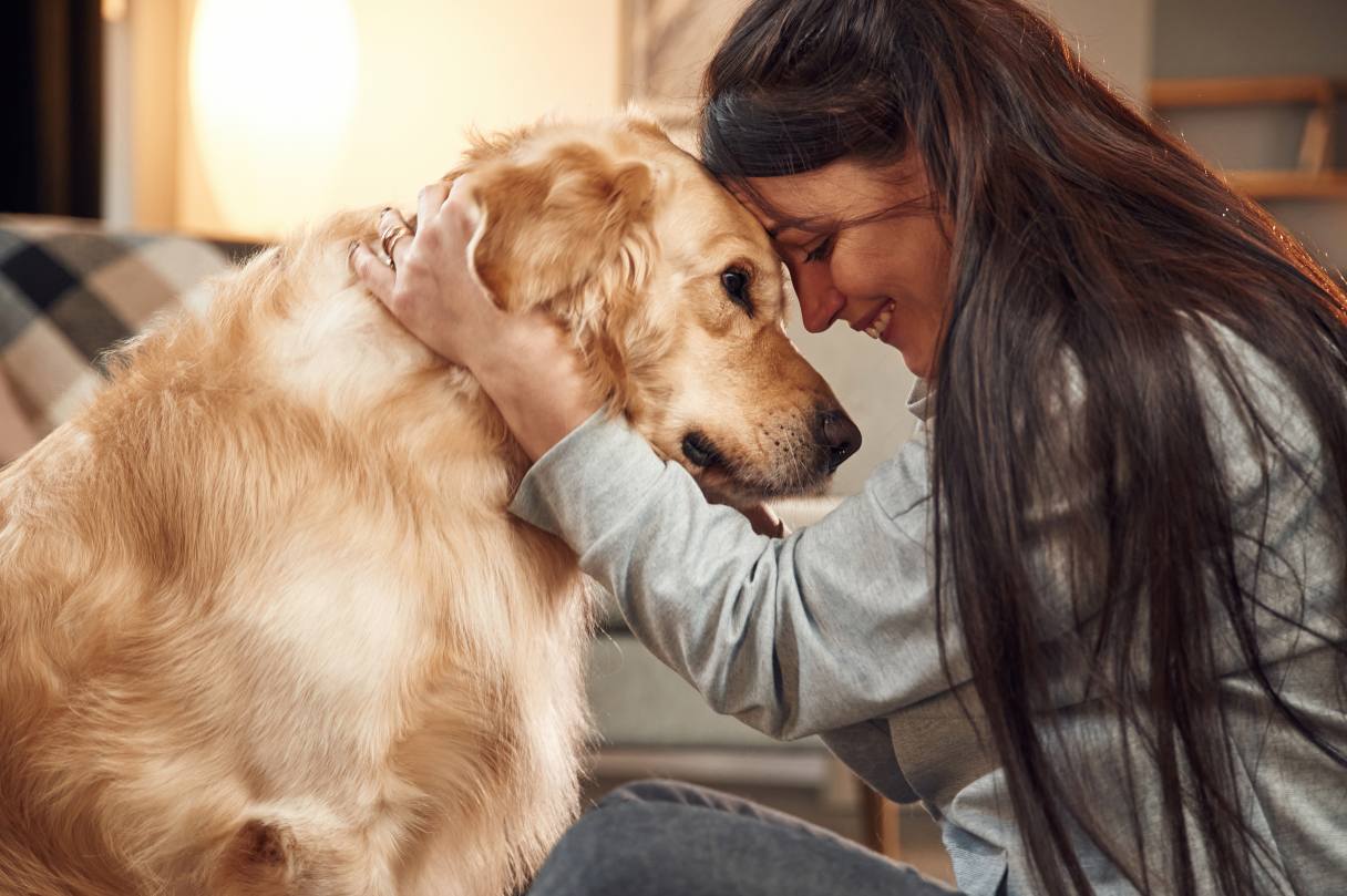 Woman putting her head to a golden retriever