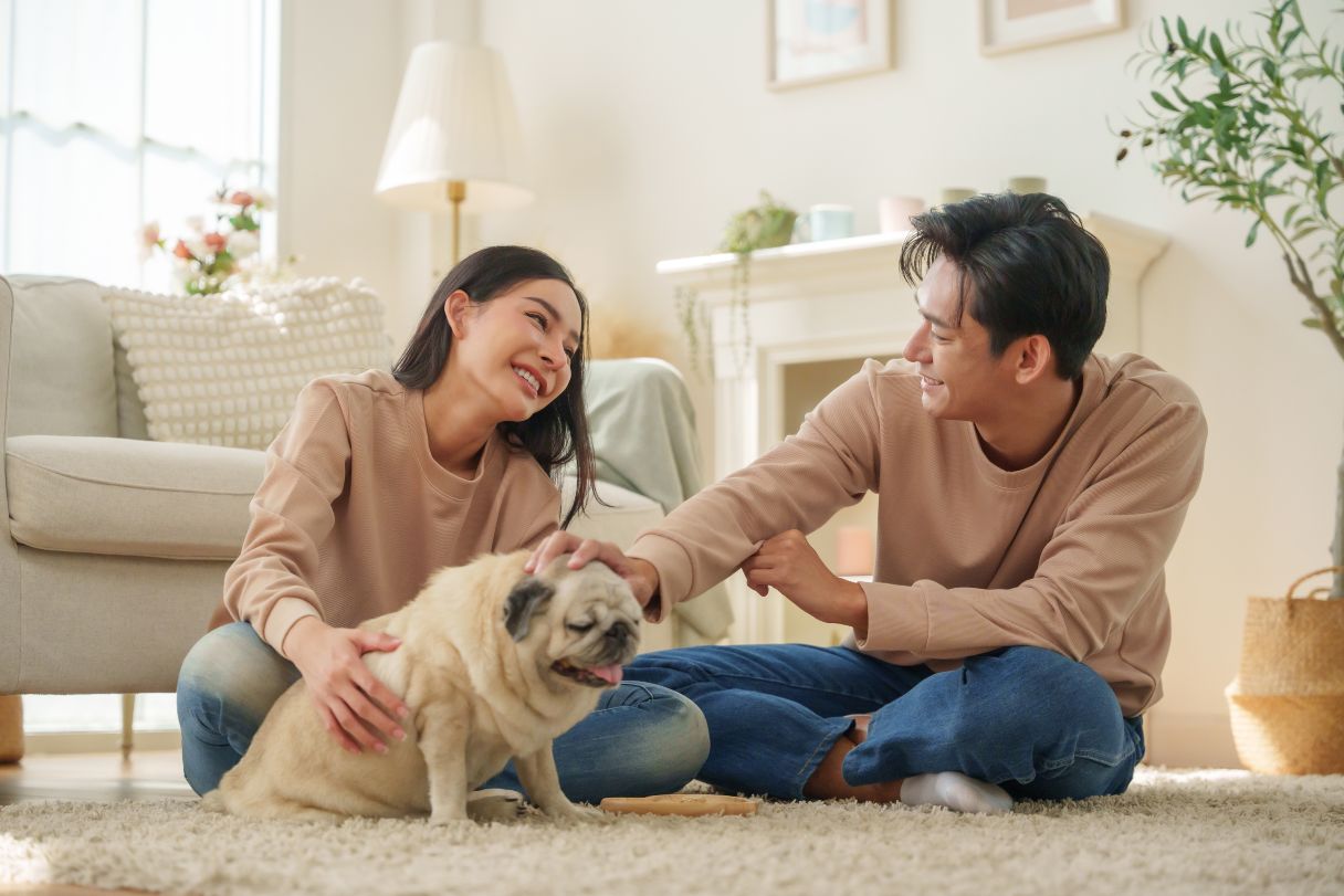 Man and woman petting a pug