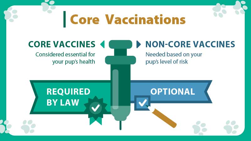 Core vaccinations