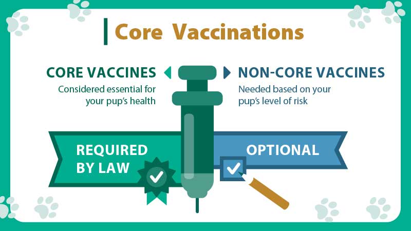 Non core best sale vaccines for dogs