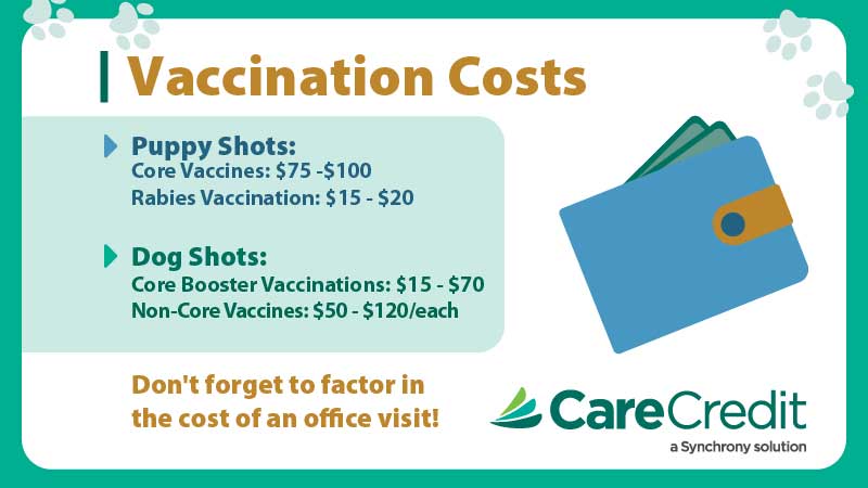 Dog vaccination costs