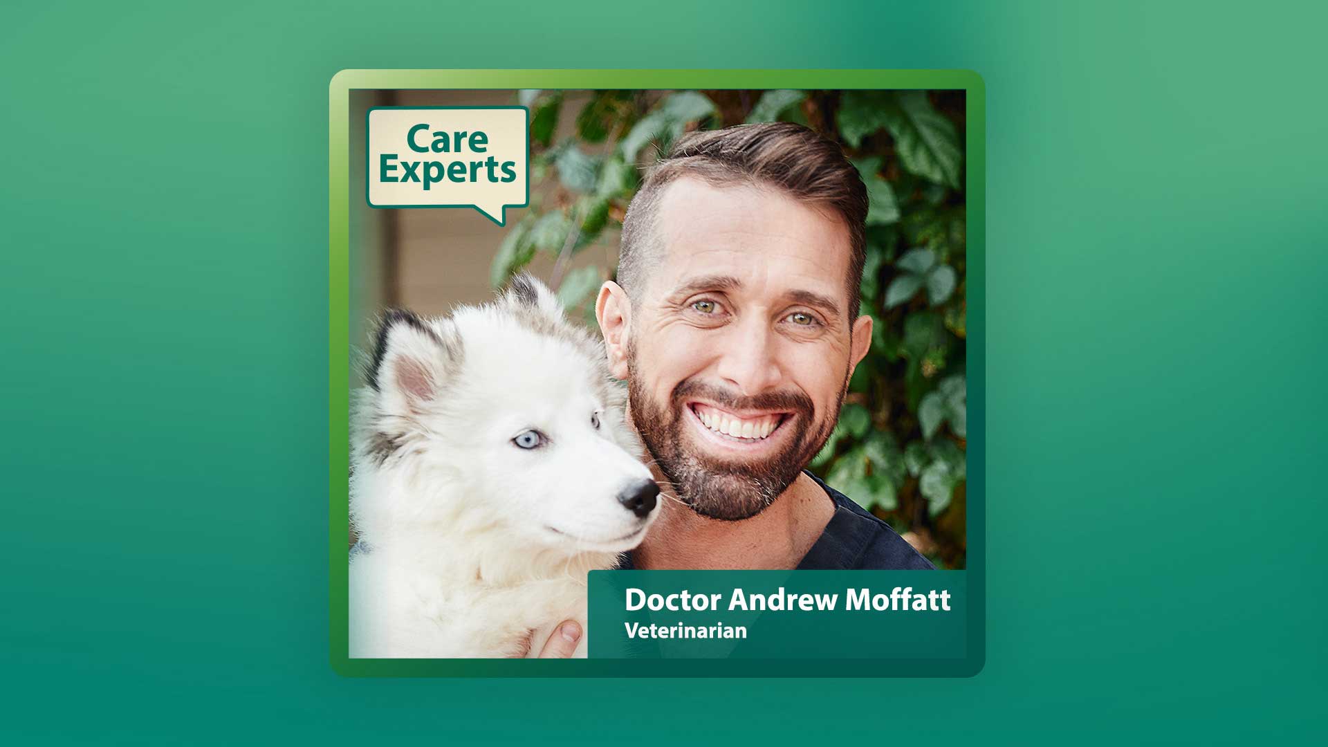 Dog Food, Diet, Supplements and Healthy Treats with Dr. Moffatt