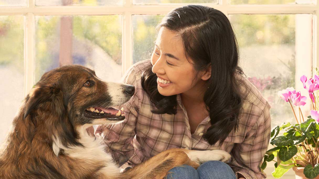 Toys to Keep Dogs Busy while School is in Session