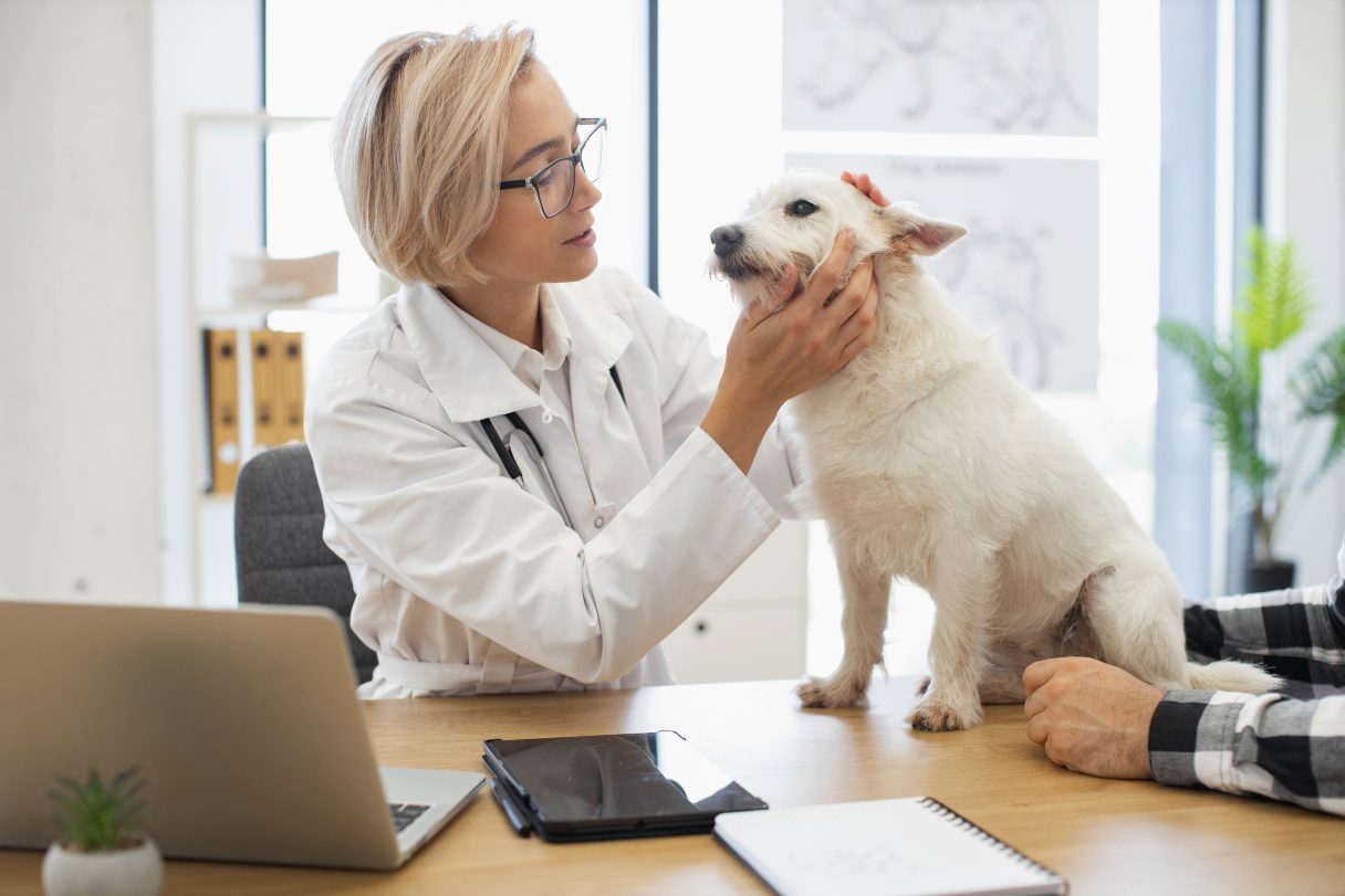 Glaucoma in Dogs: Causes, Symptoms and Treatment Options