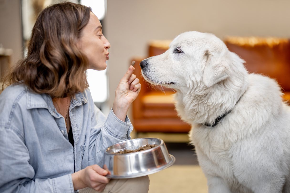 Woman feeding a white dog a piece of dog food from a bowl