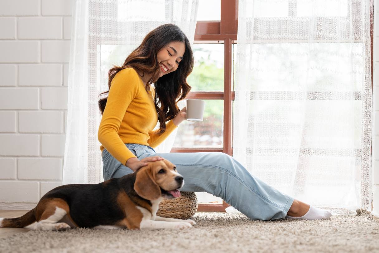 Woman petting a beagle
