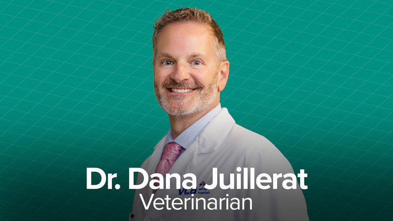 Dr. Dana Juillerat