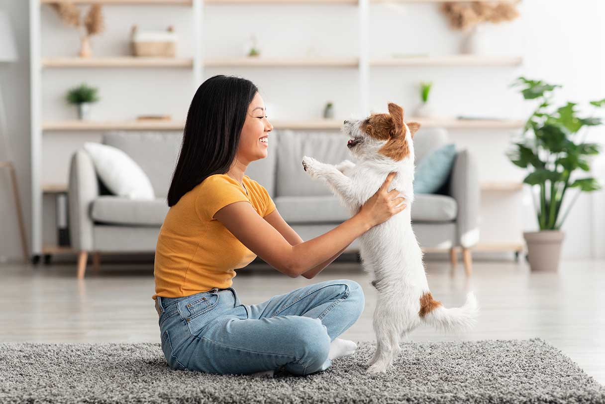 Smiling woman playing with small white and brown dog