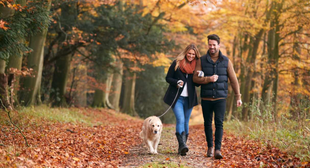 Non-Surgical Tummy Tuck: A Tummy Tuck Alternative