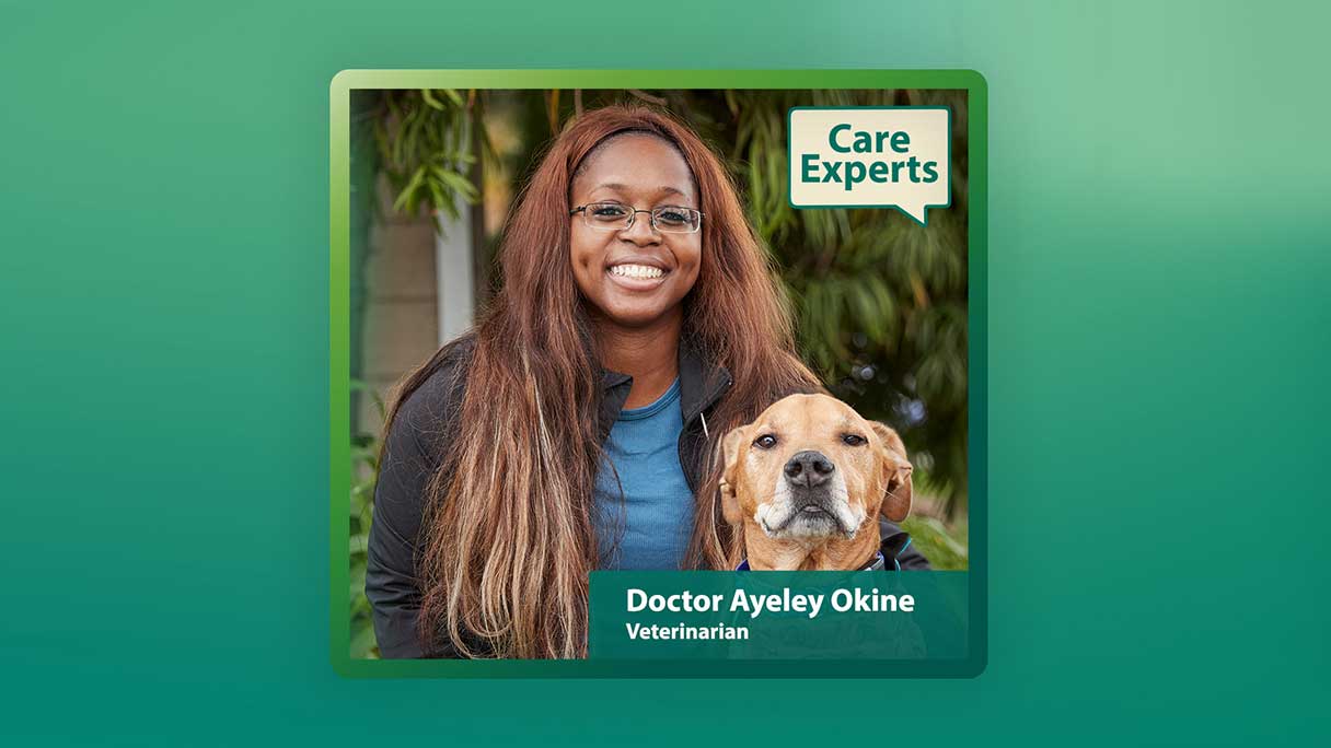 Dr Okine on Care Experts