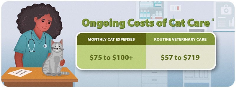Ongoing Cat Costs