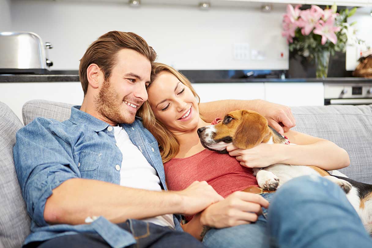 Couple sitting on couch with dog