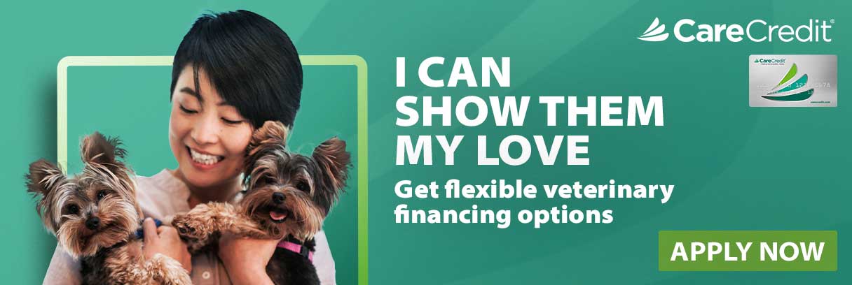 Veterinary Financing