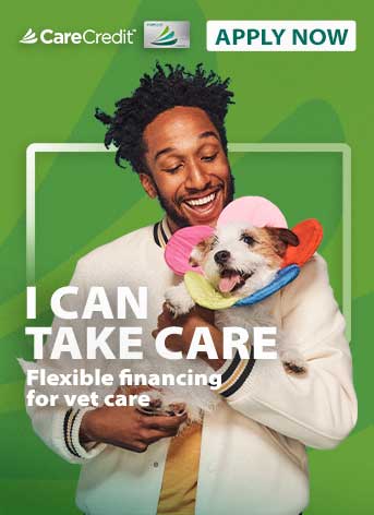 Veterinary Financing