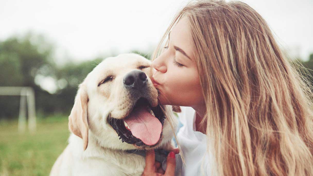 Woman kissing a labrador retriever