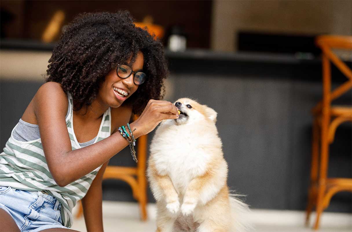 Young woman feeding treat to a pomeranian