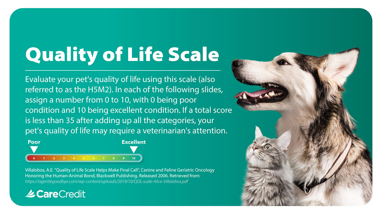 About Journeys Quality of Life Scale for Pets