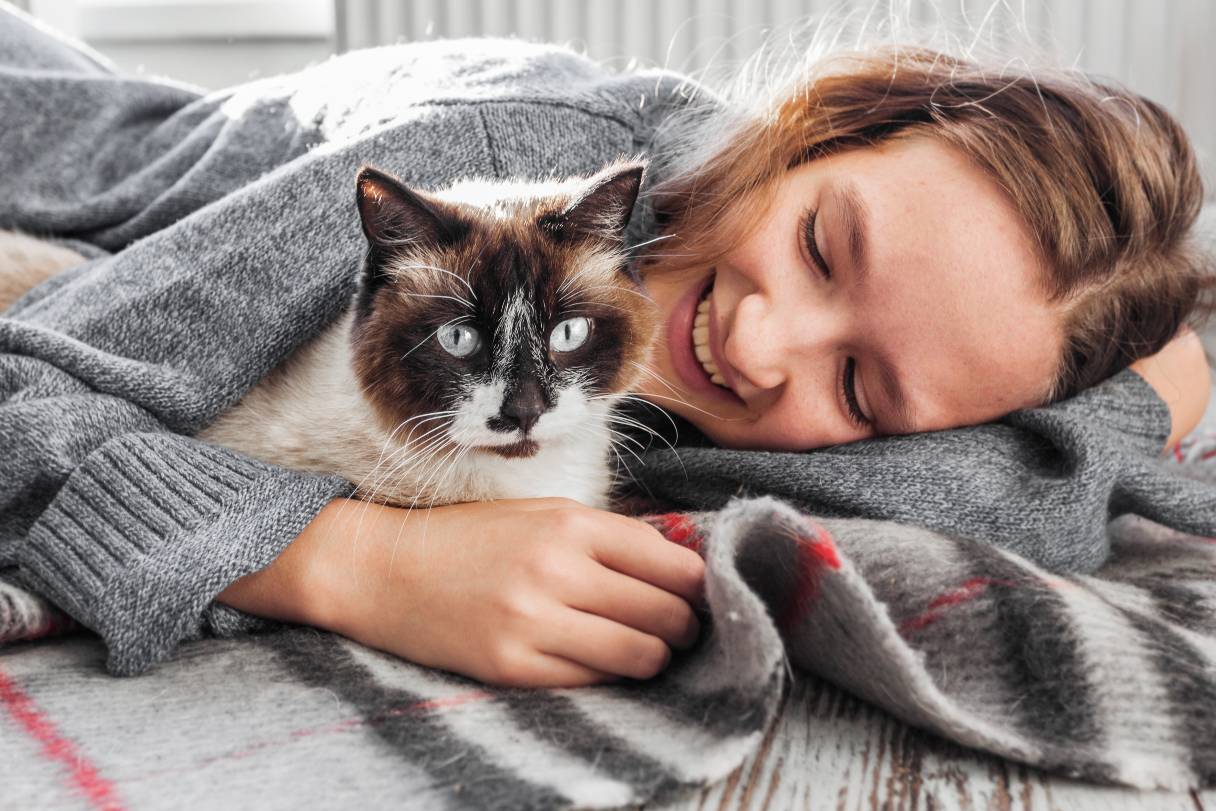 11 Tips to Help You Care for a Senior Cat