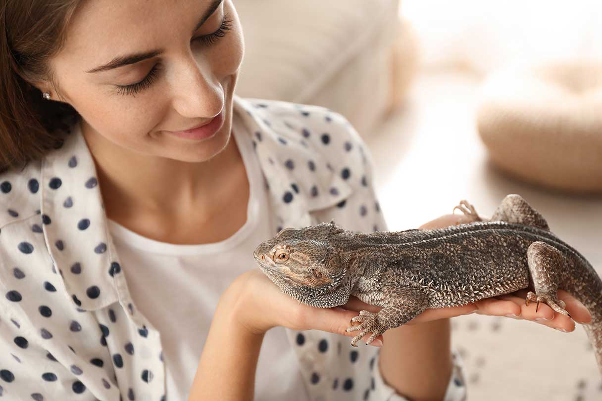 Woman holding a bearded dragon