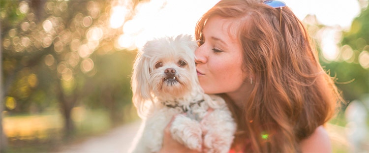 puppy vet check cost