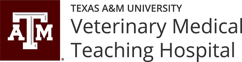 Texas A&M Veterinary Teaching Hospital