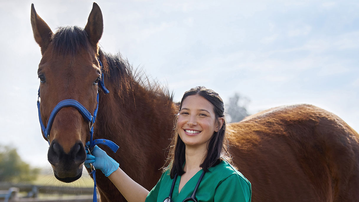Veterinary technician with horse