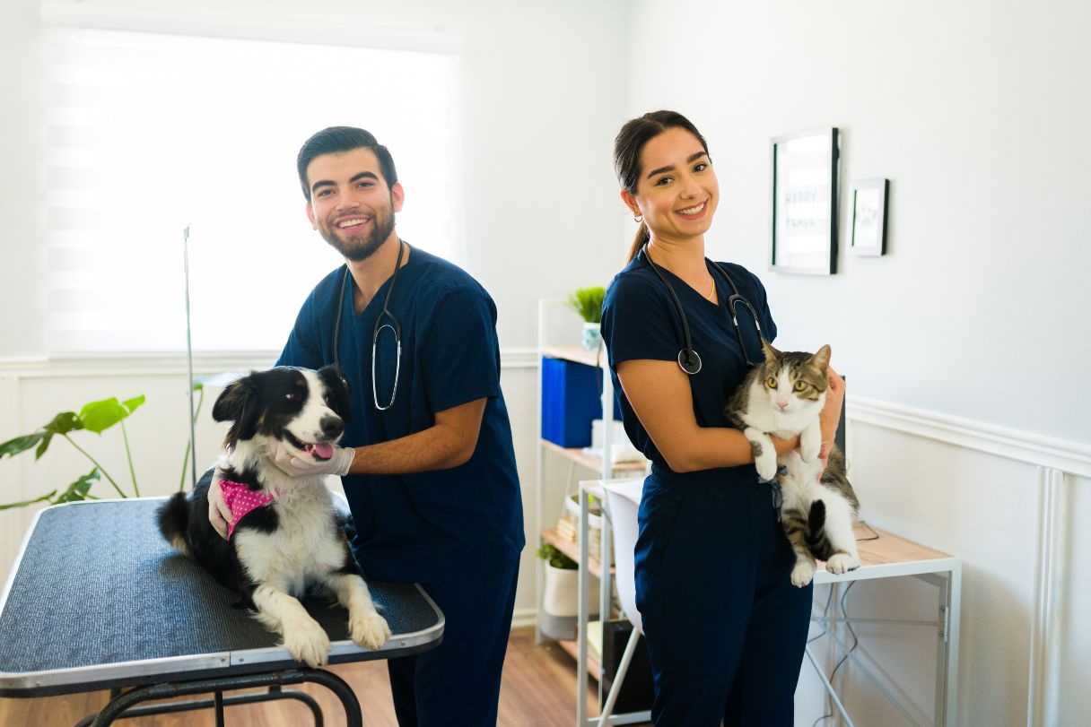 Veterinary technicians holding a dog and cat