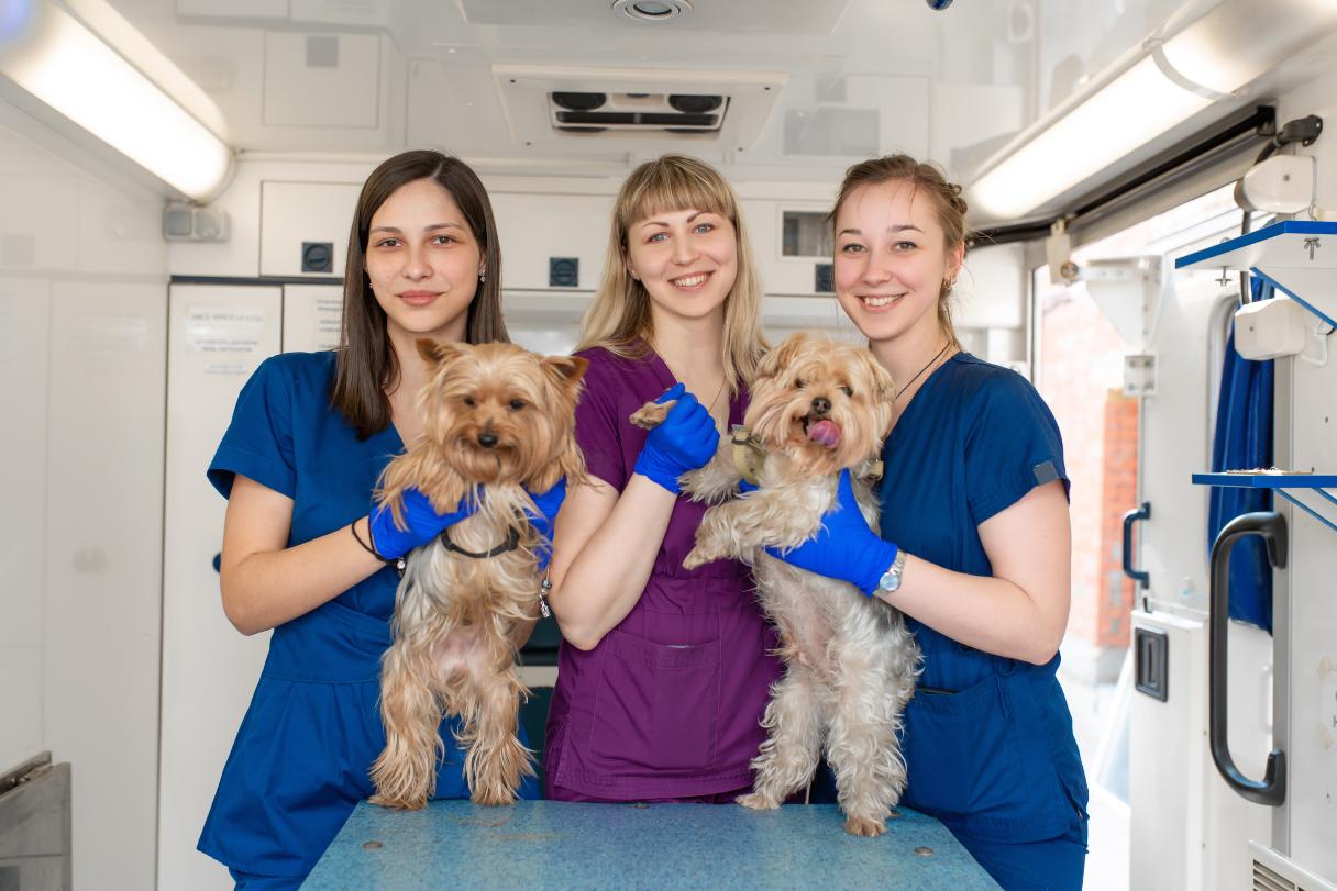 Smiling veterinary technicians with two dogs